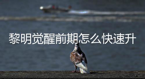 醒快怎么明觉黎明 黎快速前期法介升级速升绍觉醒级方